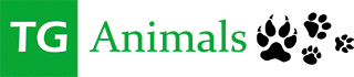 logo tganimals