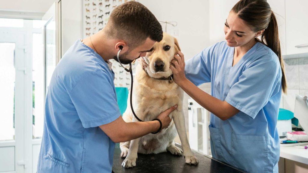 Green Aesthetic Animated YouTube Intro Videos 2