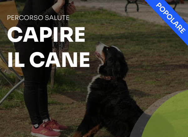 capire il cane