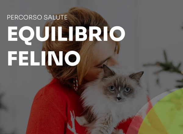 equilibrio felino