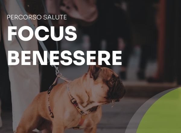 focus benessere