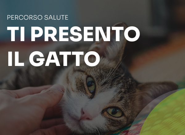 ti presento il gatto