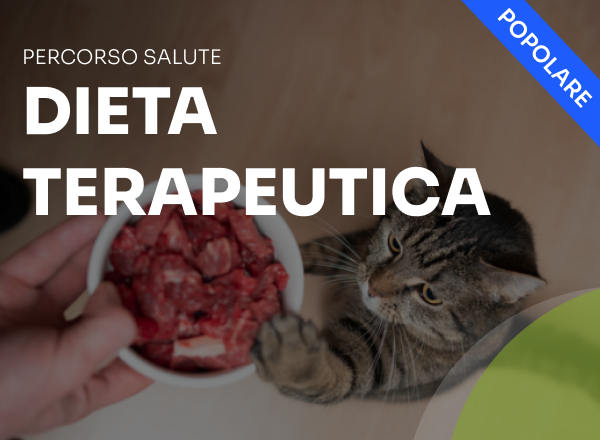 dieta terapeutica gatto