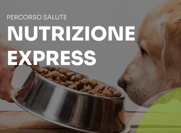 nutrizione express cane