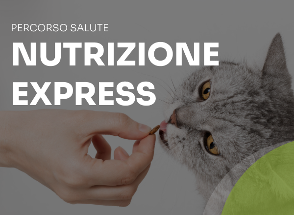 nutrizione express gatto