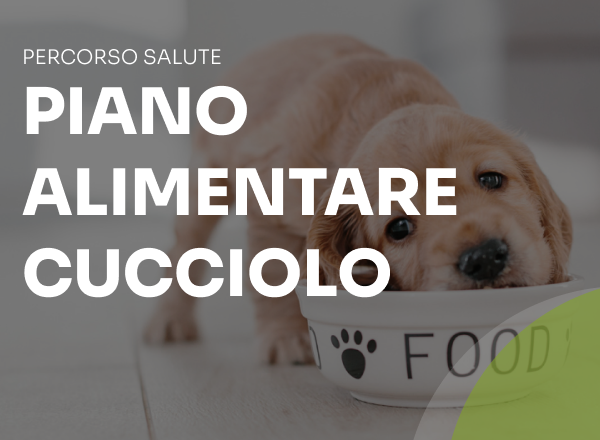 piano alimetare cucciolo