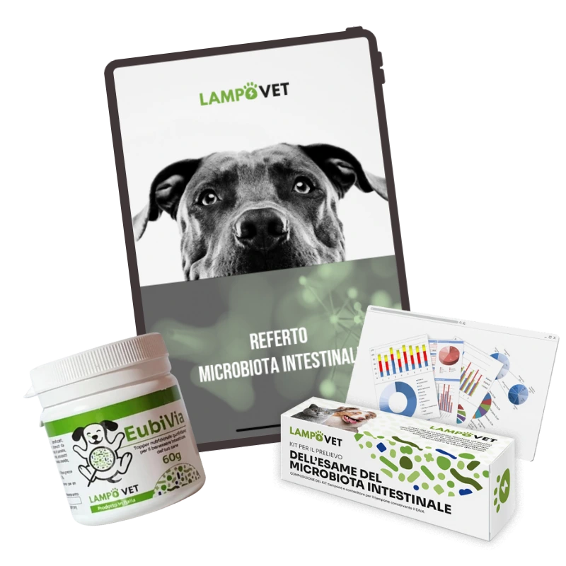 eubivia la scienza dietro