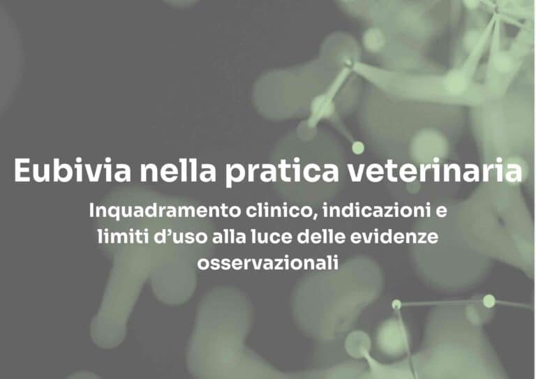 cover per white paper eubivia 1