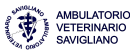 ambulatorio-veterinario-savigliano