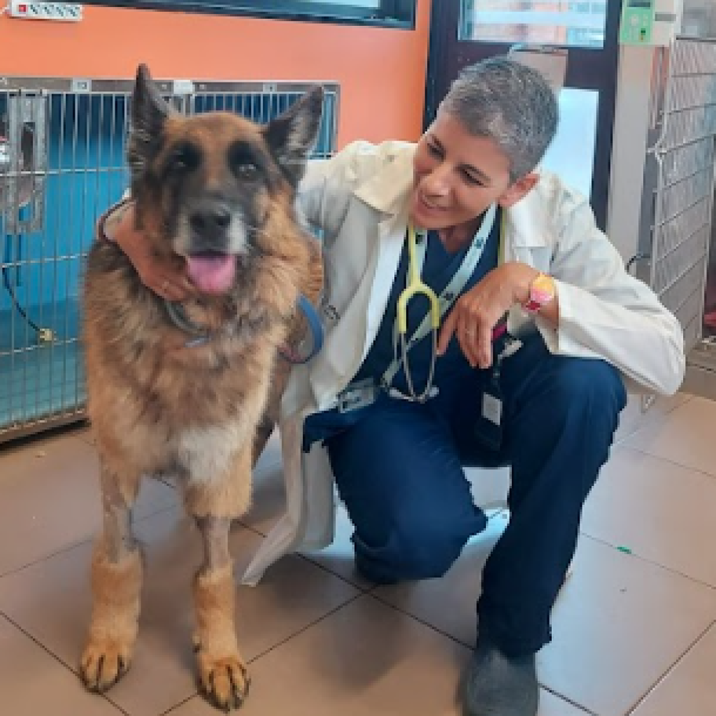 Dott.ssa Christina Brunelli